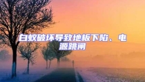 白蟻破壞導致地板下陷、電源跳閘