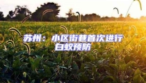 蘇州:小區街巷首次進行白蟻預防