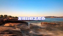 發現白蟻怎麼辦