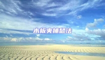木板夾捕鼠法