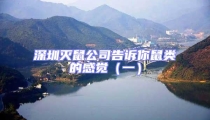 深圳滅鼠公司告訴你鼠類的感覺(一)