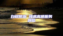 白蟻防治 技術高明服務到位