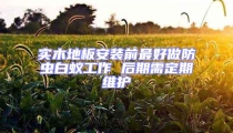 實木地板安裝前最好做防蟲白蟻工作 后期需定期維護