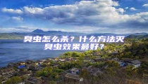 臭蟲怎么殺?什么方法滅臭蟲效果最好?