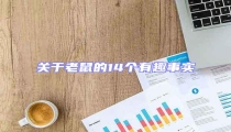 關于老鼠的14個有趣事實