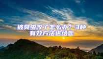 被臭蟲咬了怎么辦?3種有效方法送給您