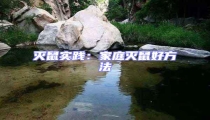 滅鼠實踐:家庭滅鼠好方法