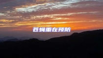 蒼蠅重在預防