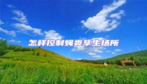 怎樣控制蠅類孳生場所