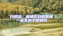 白蟻站:新城區(qū)白蟻數(shù)量一點(diǎn)不遜于老城區(qū)