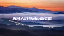 為何人們特別反感老鼠