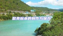 鼠類標本的制作與保存