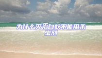 為什么滅治白蟻不能用殺蟲劑