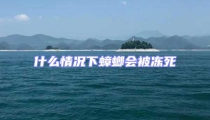 什么情況下蟑螂會(huì)被凍死