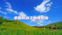 老鼠防治之物理防治