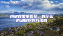 白蟻在家里猖狂,有什么防治白蟻的方法嗎