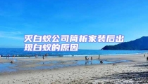 滅白蟻公司簡析家裝后出現白蟻的原因