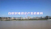 白蟻對電路會產(chǎn)生危害嗎?