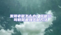 發現老鼠怎么辦?滅鼠公司教你最強滅鼠方法