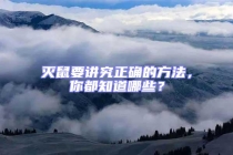 滅鼠要講究正確的方法，你都知道哪些？