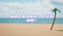 蟑螂危害有哪些?怎樣殺蟑螂?