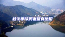 秋冬季節(jié)滅老鼠有絕招