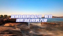 深圳白蟻防治公司 有效地防治白蟻的入侵