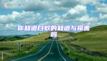 你知道白蟻的知道與損害嗎