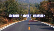 你知道“小強”吃啥嗎?