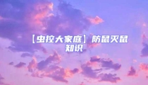 【蟲控大家庭】防鼠滅鼠知識