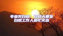 專業(yè)滅白蟻:白蟻大暴發(fā)白蟻工作人員忙滅治
