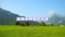 深圳殺臭蟲怎么殺