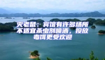 滅老鼠:賓館有許多場所不適宜殺蟲劑噴灑,投放毒餌更受歡迎