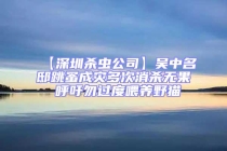 【深圳殺蟲公司】吳中名邸跳蚤成災多次消殺無果 呼吁勿過度喂養野貓