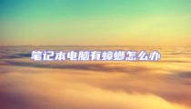 筆記本電腦有蟑螂怎么辦