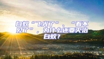 白蟻“飛光了”、“看不見了”,為什么還要滅治白蟻?
