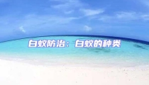 白蟻防治:白蟻的種類