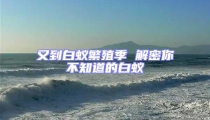 又到白蟻繁殖季 解密你不知道的白蟻