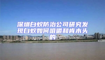 深圳白蟻防治公司研究發(fā)現(xiàn)白蟻如何咀嚼和肯木頭的