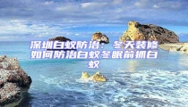 深圳白蟻防治：冬天裝修如何防治白蟻冬眠前抓白蟻