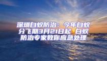 深圳白蟻防治:今年白蟻分飛期3月21日起 白蟻防治專家教你應急處理