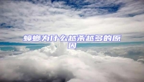 蟑螂為什么越殺越多的原因