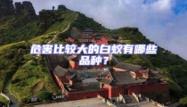 危害比較大的白蟻有哪些品種?