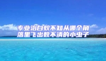 專業治白蟻不知從哪個角落里飛出數不清的小蟲子