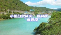 小區白蟻成災,看到都“麻嘎嘎”