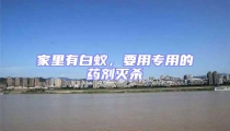 家里有白蟻,要用專用的藥劑滅殺