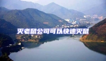 滅老鼠公司可以快速滅鼠