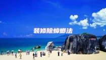 裝修除蟑螂法