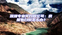 深圳專(zhuān)業(yè)滅白蟻公司:房屋有白蟻怎么辦?