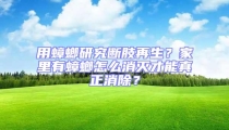 用蟑螂研究斷肢再生?家里有蟑螂怎么消滅才能真正消除?